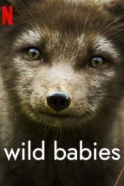 Детки не в клетке (2022) Wild Babies