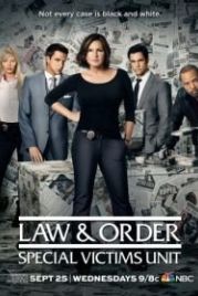 Закон и порядок. Специальный корпус (1999) Law & Order: Special Victims Unit