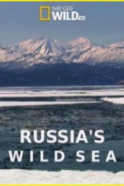 Дикое море России (2018) Russia’s Wild Sea