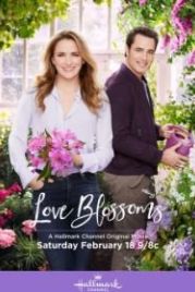 Расцвет любви (2017) Love Blossoms