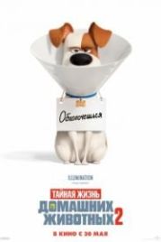 Тайная жизнь домашних животных 2 (2019) The Secret Life of Pets 2