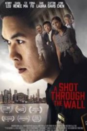 Китайский коп (2021) A Shot Through the Wall