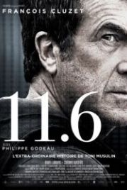 11.6 (2013) 11.6