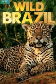 Дикая Бразилия (2014) Wild Brazil