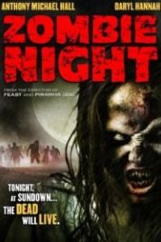 Ночь зомби (2013) Zombie Night