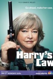 Закон Хэрри (2011) Harry's Law