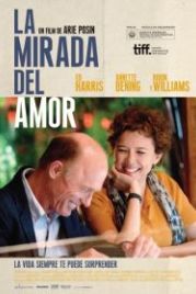 Лицо любви (2013) The Face of Love