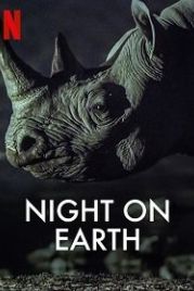 Ночь на Земле (2020) Night on Earth