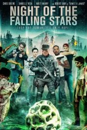 Ночь падающих звёзд / Night of the Falling Stars (2021)