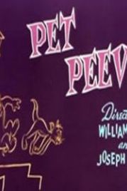 Любимая мозоль (1954) Pet Peeve