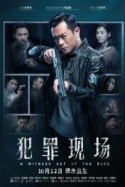 Неожиданный свидетель (2019) Faan zeoi jin coeng