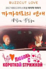 Любовь ёжиком (2017) Kkakkameoriui yeonae