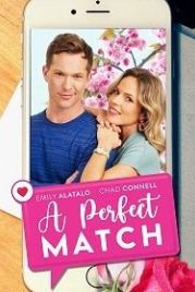 Идеальное сходство (2021) A Perfect Match