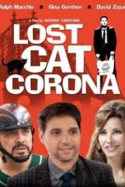 В Короне пропал кот (2015) Lost Cat Corona