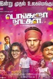 Бангалорские дни (2016) Bangalore Naatkal