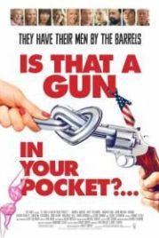 Это пистолет у тебя в кармане? (2016) Is That a Gun in Your Pocket?