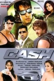 В погоне за удачей (2007) Cash