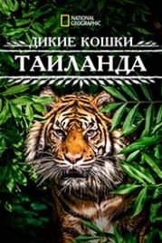 Дикие кошки Таиланда (2021) Thailand's Wild Cats