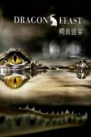 National Geographic. Пир драконов (2012) Dragons Feast