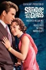 Великолепие в траве (1961) Splendor in the Grass
