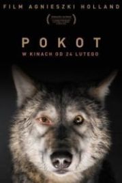 След зверя (2017) Pokot