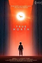 Настоящая Северная Корея (2020) True North