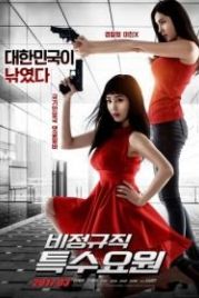 Шпион на полставки (2017) Bijeonggyujik teuksuyowon