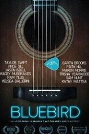 Блубёрд (2019) Bluebird