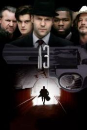 13 (2009) 13