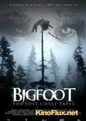 Пленки из Лост Коста (2012) Bigfoot: The Lost Coast Tapes
