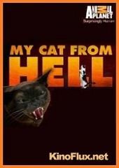 Адская кошка (2011) My Cat from Hell