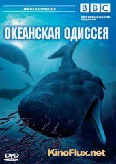 BBC: Океанская одиссея (2006) Ocean Odyssey / Natural World: Deep Ocean