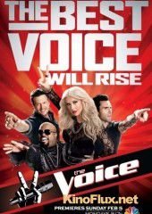 Голос Америки (2011-2015) The Voice USA