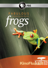 PBS: Природа - Удивительные лягушки (2014) PBS: Nature - Fabulous Frogs