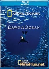 Рождение океана (2010) Dawn of the Ocean
