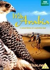BBC: Дикая Аравия (2013) Wild Arabia