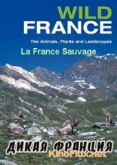 Дикая Франция (2012) La France sauvage