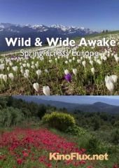 Пробуждение дикой природы - европейская весна (2015) Wild & Wide Awake - Spring Across Europe