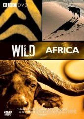 BBC: Дикая Африка (2001) Wild Africa