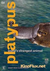 ABC Самое необычное животное в мире. Утконос (2003) ABC Platypus. World's Strangest Animal