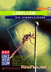 Небесные охотники. Мир стрекоз (2010) Libellen - Die Himmelsj&#228;ger
