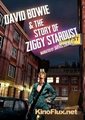 Дэвид Боуи: История Зигги Стардаста (2012) David Bowie & the Story of Ziggy Stardust