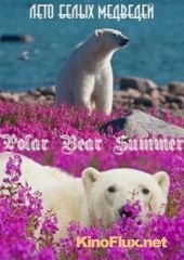 Лето белых медведей (2015) Polar Bear Summer