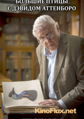 Большие птицы с Дэвидом Аттенборо (2015) BBC Natural World: Attenborough's Big Birds