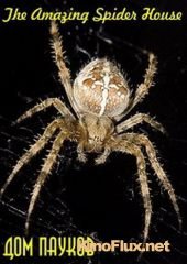 Дом пауков (2015) National Geographic: The Amazing Spider House