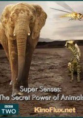 Уникальные способности животных (2014) Super Senses: The Secret Power of Animals