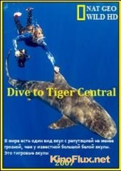 Погружение в царство тигровых акул (2007) Dive to Tiger Central