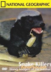Медоеды: Змеиные убийцы (2001) National Geographic. Honey Badgers of the Kalahari