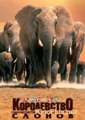 Африка – королевство слонов (1998) Africa's Elephant Kingdom