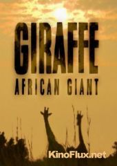 National Geographic. Жираф: Африканские гиганты (2015) Giraffe. African Gian
